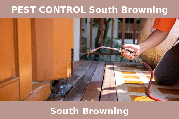 PEST CONTROL South Browning